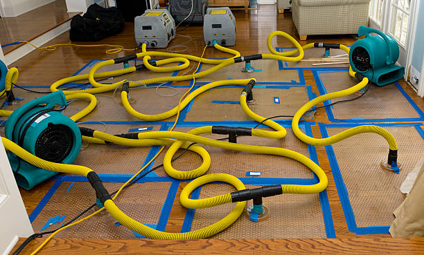 Professional Structural Drying And Dehumidification technician working in Drummonds, TN